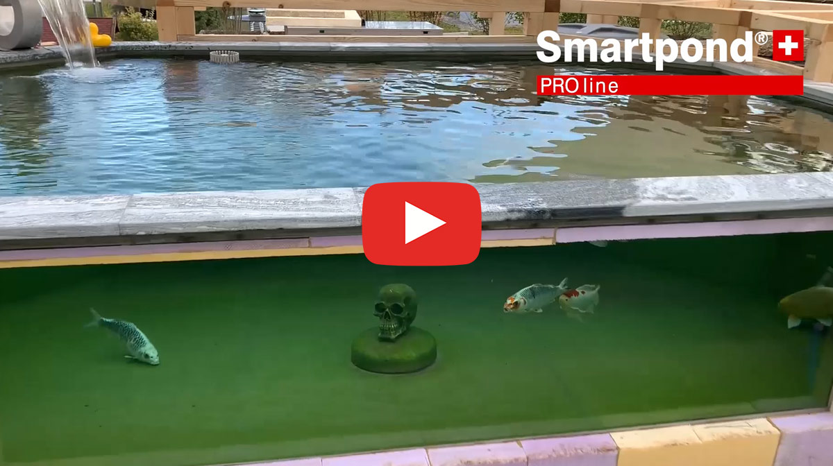 videoteaser-blog-videos